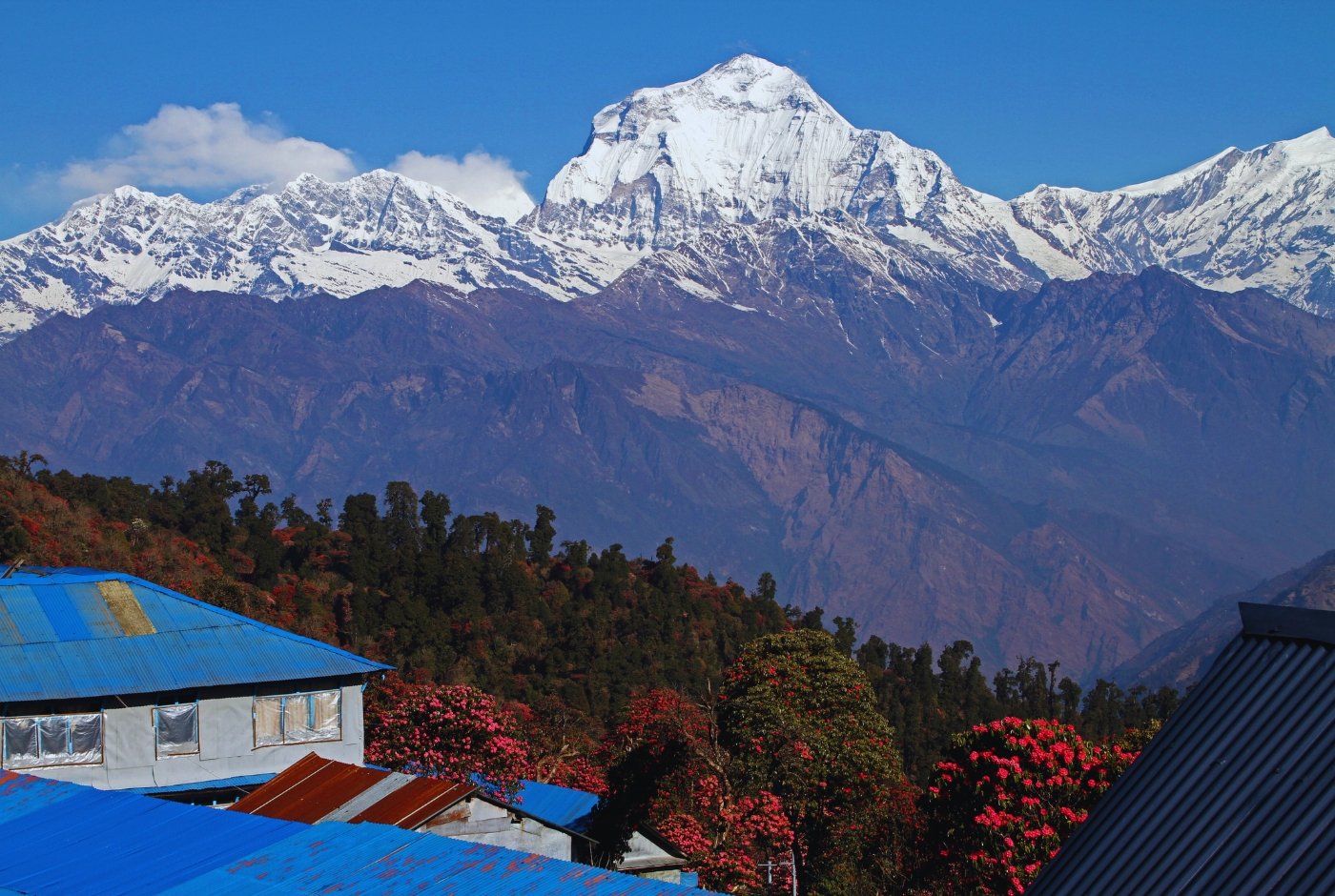 Annapurna Circuit Trek – 14 Days 7