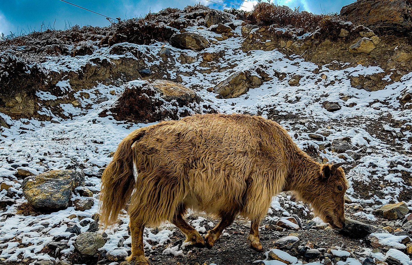 Annapurna Circuit Trek – 14 Days 10