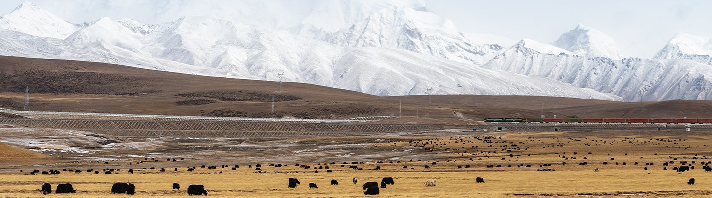 banner_tibet
